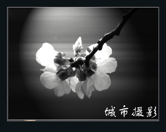 梅花