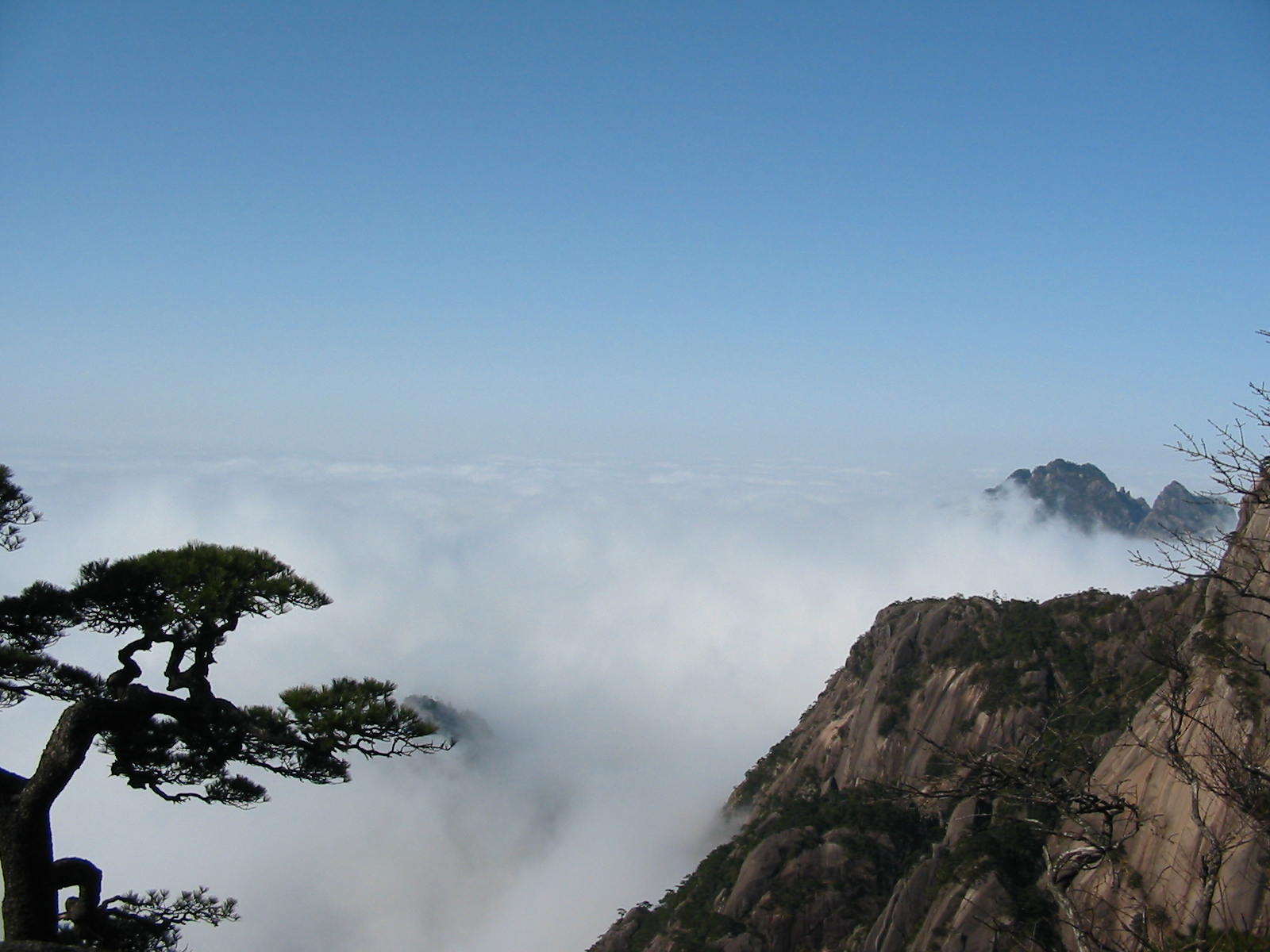 黄山、云海