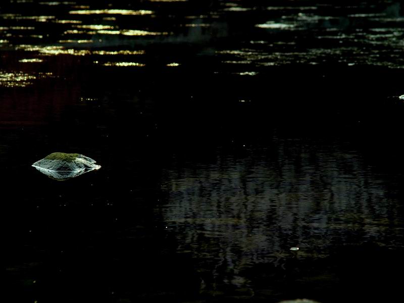 [原创]淡溪春晓