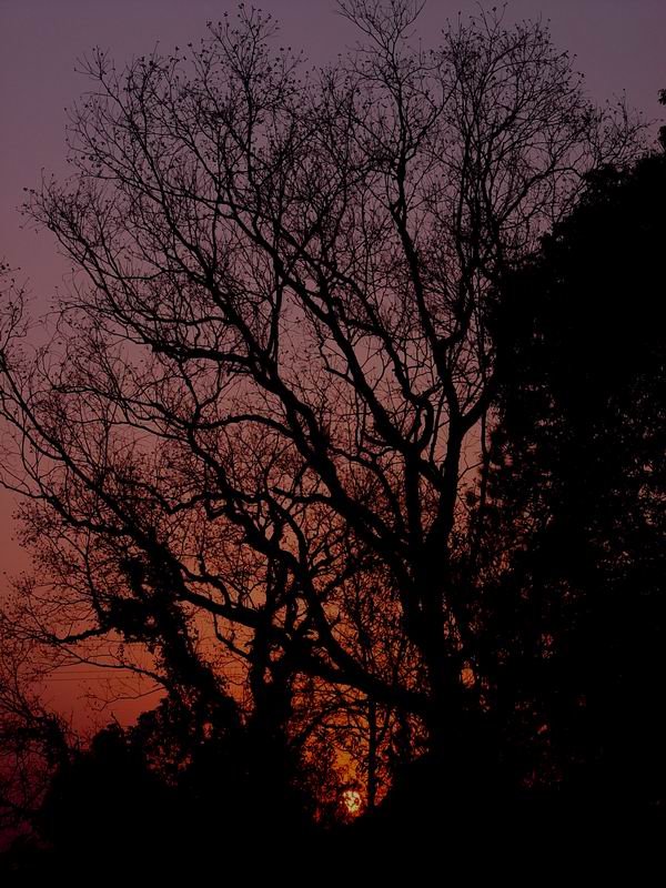 [原创]什个也不是,就玩玩
