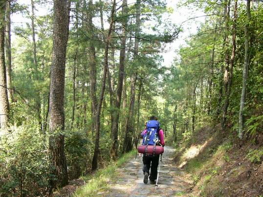 成功的天台琼山之旅