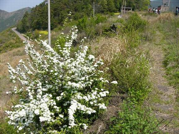 成功的天台琼山之旅