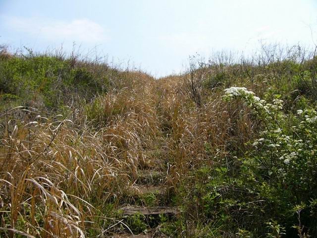 成功的天台琼山之旅