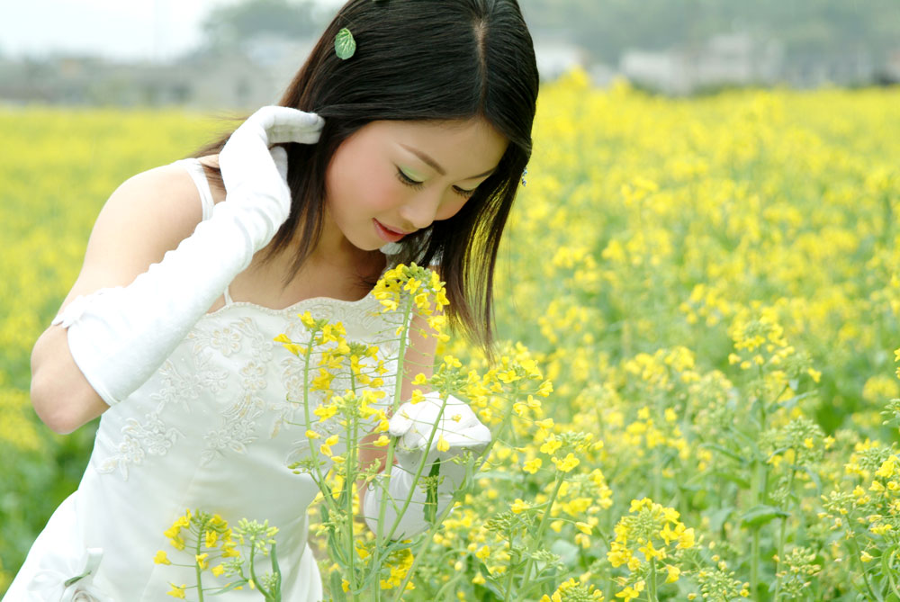 大家共赏