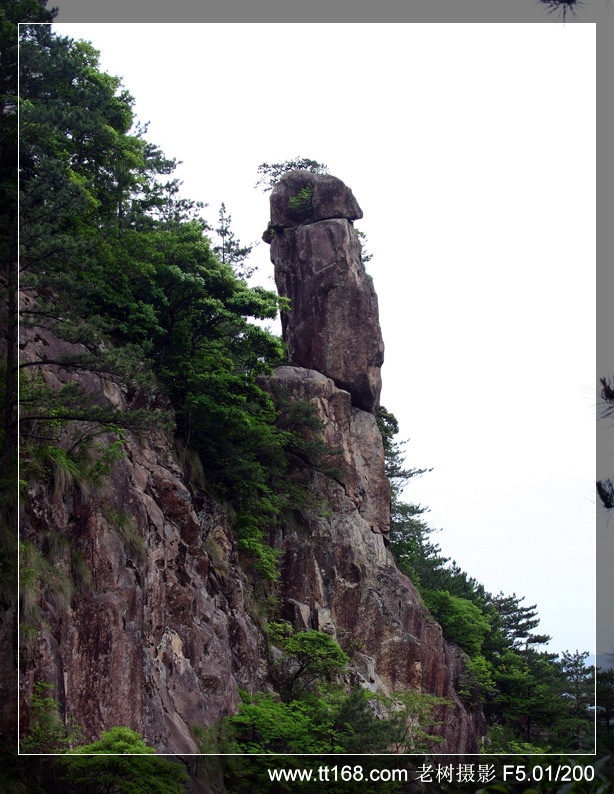 5月15-16日括苍山徒步照片集（按顺序发）