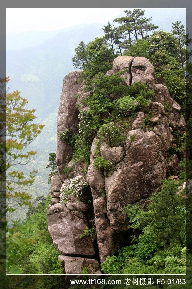 5月15-16日括苍山徒步照片集（按顺序发）