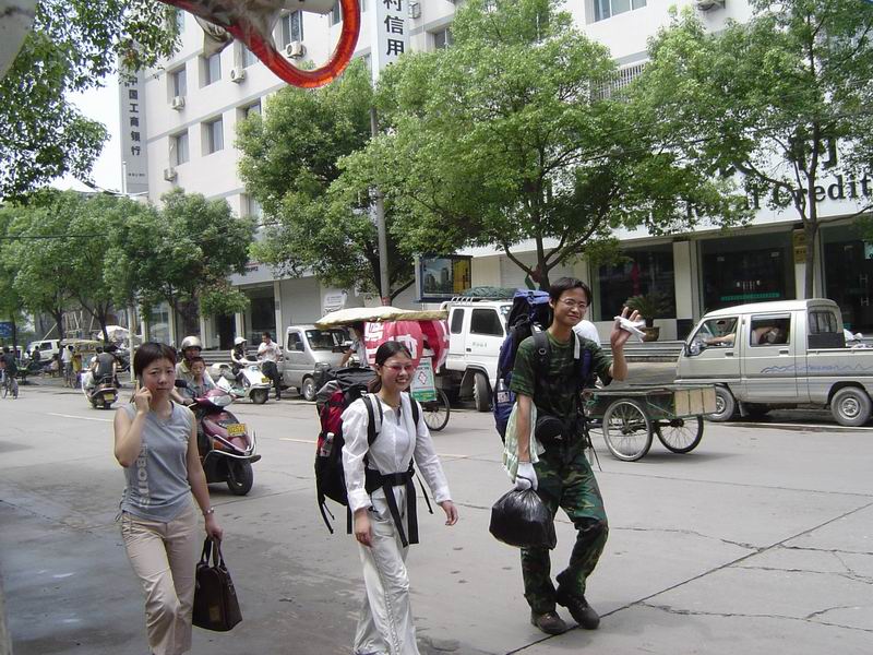 [贴图]淡竹
