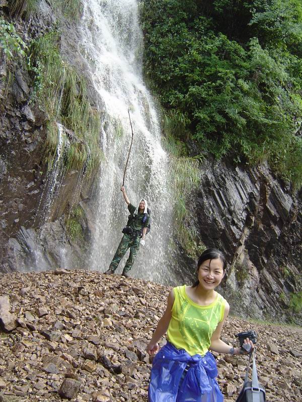 [贴图]淡竹