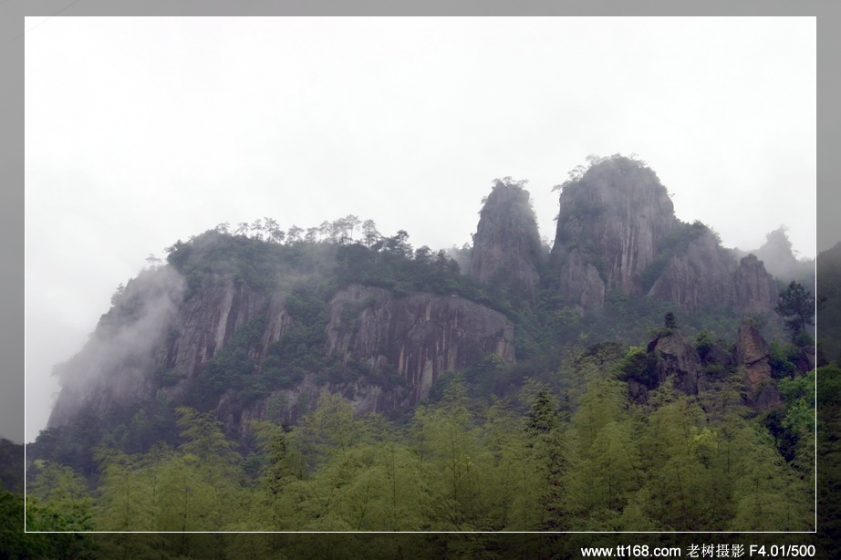 九遮山—大雷山—仙居之行图片集
