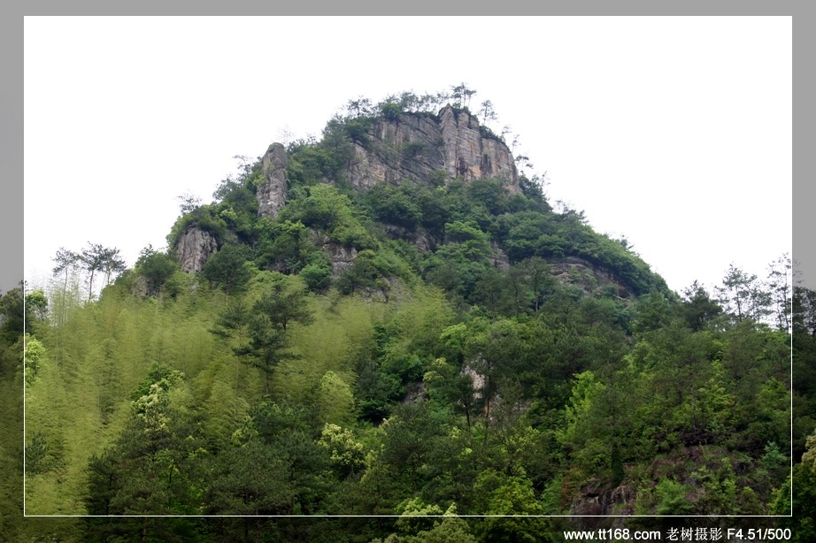 九遮山—大雷山—仙居之行图片集
