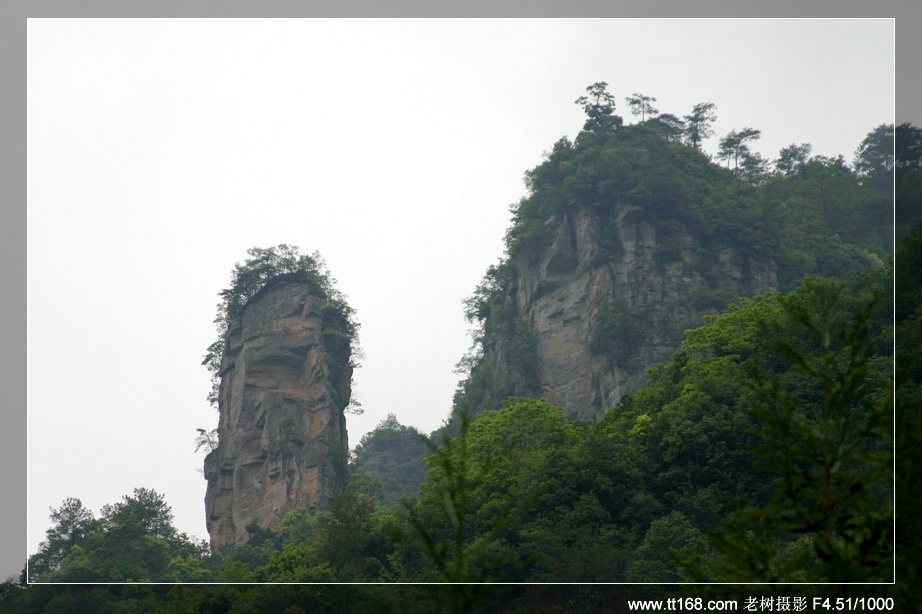 九遮山—大雷山—仙居之行图片集