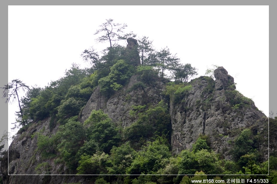 九遮山—大雷山—仙居之行图片集