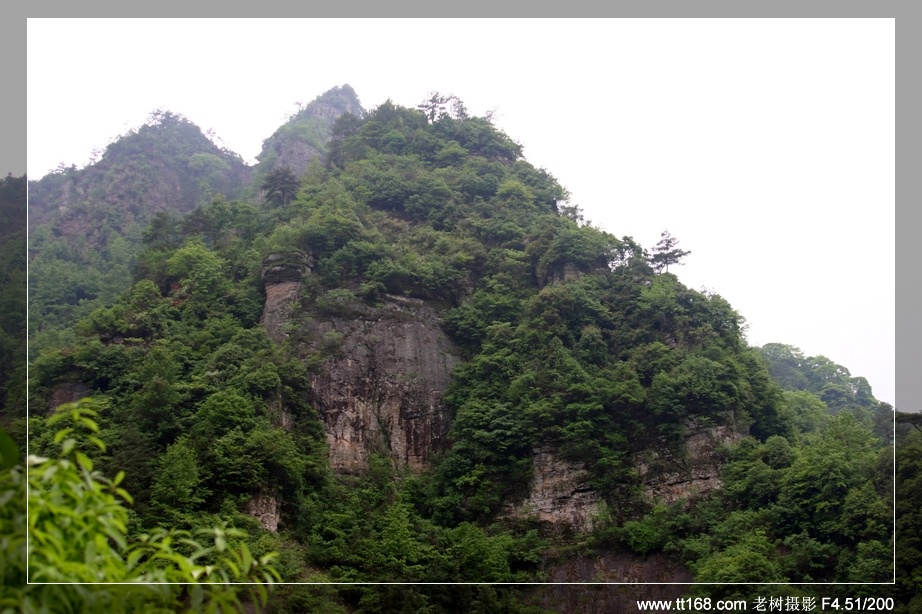 九遮山—大雷山—仙居之行图片集