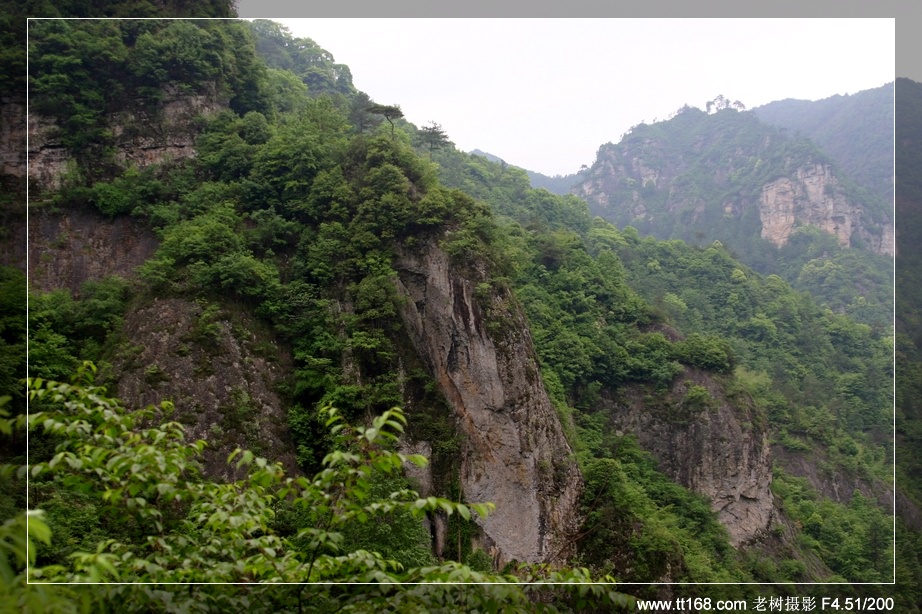 九遮山—大雷山—仙居之行图片集