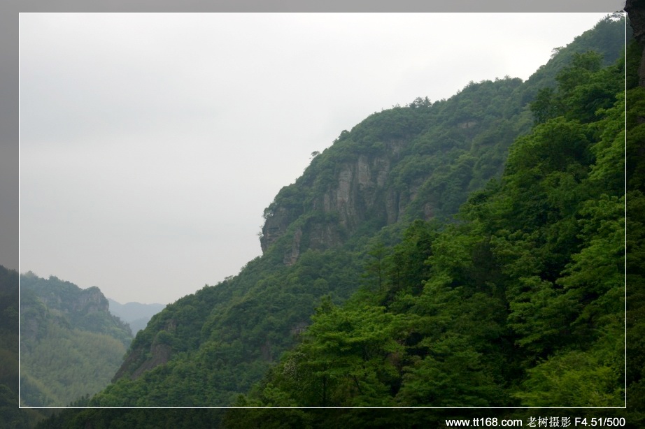 九遮山—大雷山—仙居之行图片集