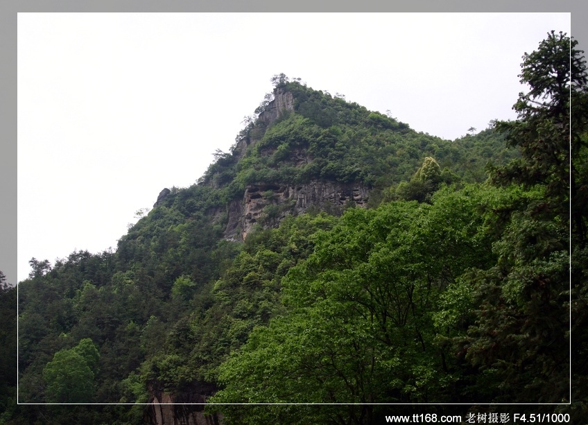 九遮山—大雷山—仙居之行图片集