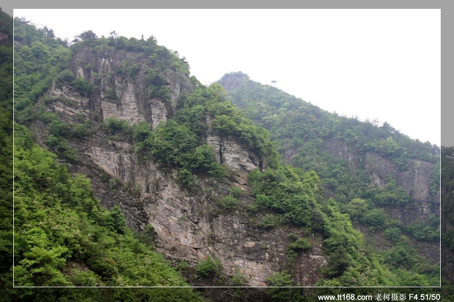 九遮山—大雷山—仙居之行图片集