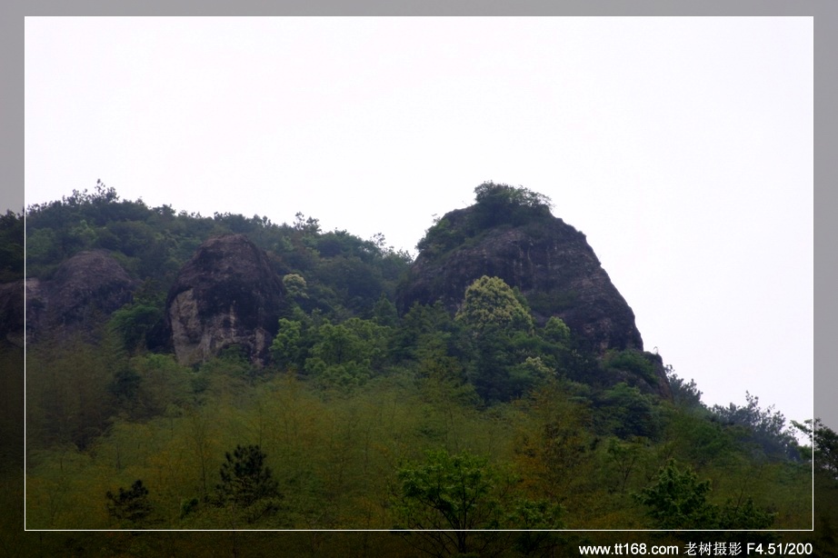 九遮山—大雷山—仙居之行图片集
