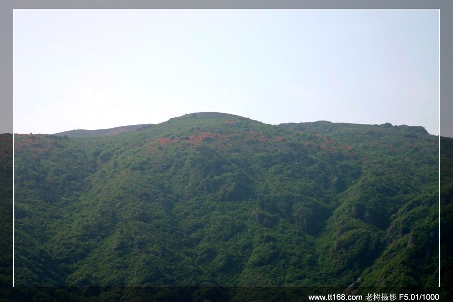 九遮山—大雷山—仙居之行图片集之二