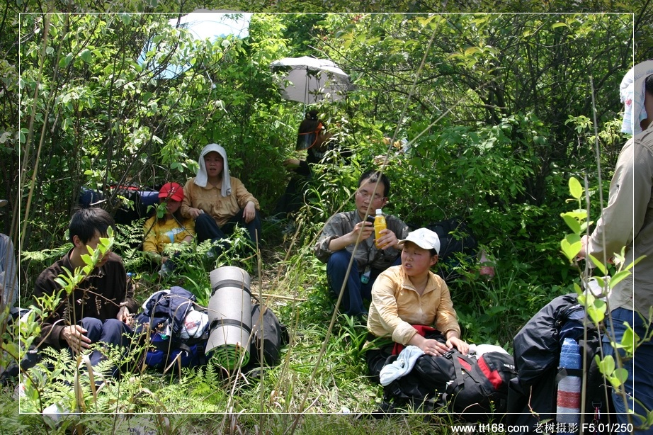 九遮山—大雷山—仙居之行图片集之二