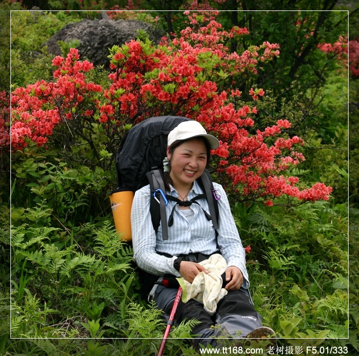 九遮山—大雷山—仙居之行图片集之二