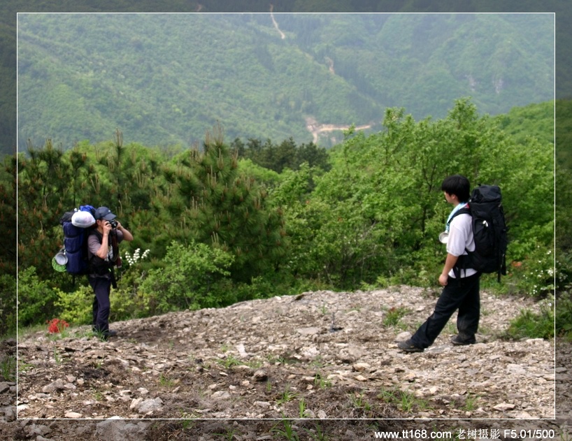 九遮山—大雷山—仙居之行图片集之二