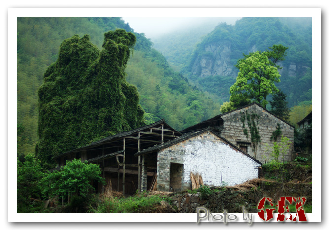 大雷山之行图片精选(一)