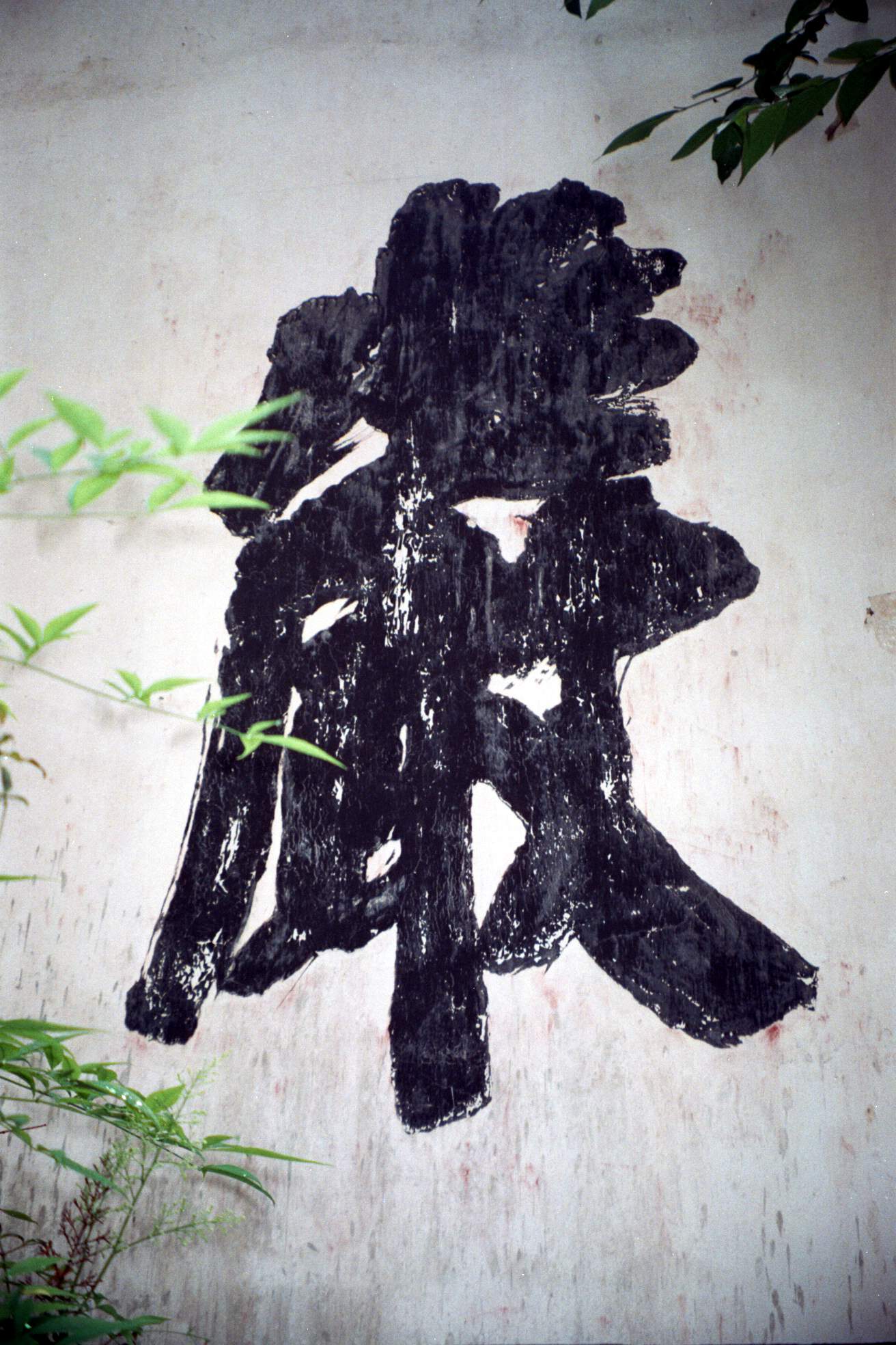 你能看出几只虎???