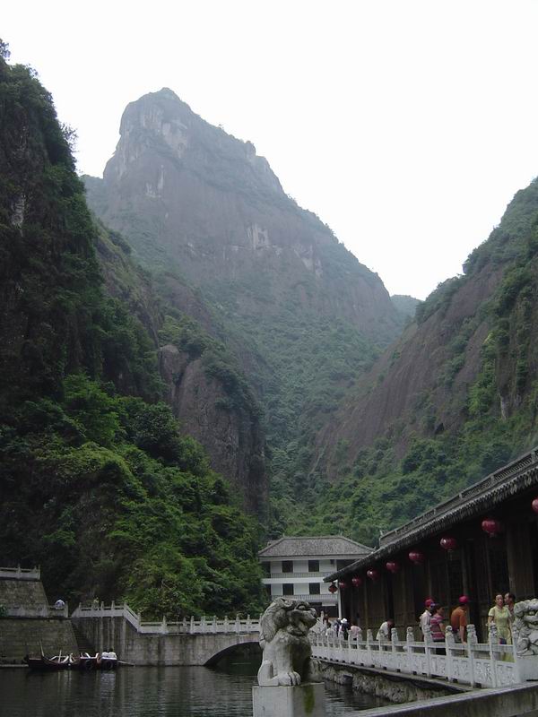 [贴图]淡竹