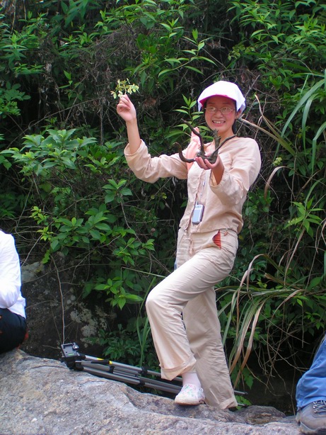 让各位久等了 陆续发苍山的图片