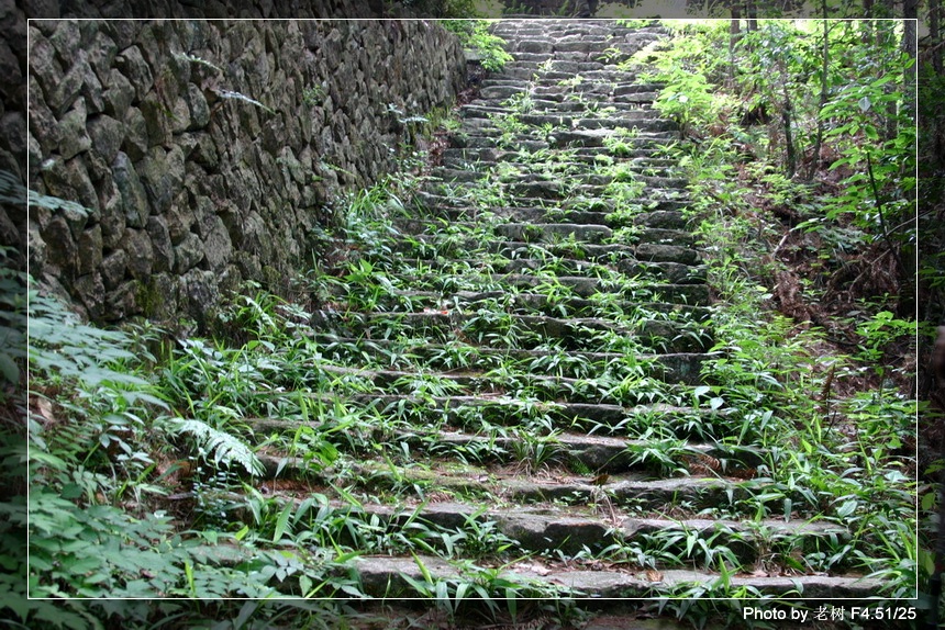 6月5-6日万年寺万马渡休闲游照片