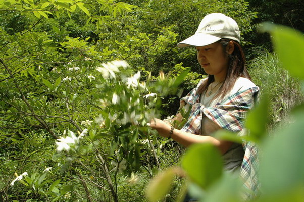 阳光季节--桐坑溪-万年寺-万马渡游记