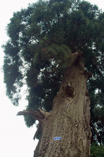 阳光季节--桐坑溪-万年寺-万马渡游记