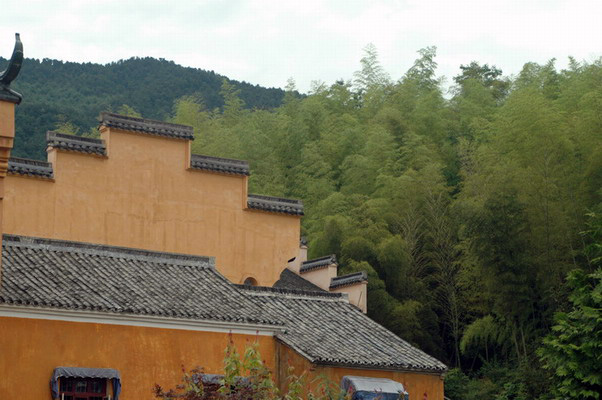 阳光季节--桐坑溪-万年寺-万马渡游记