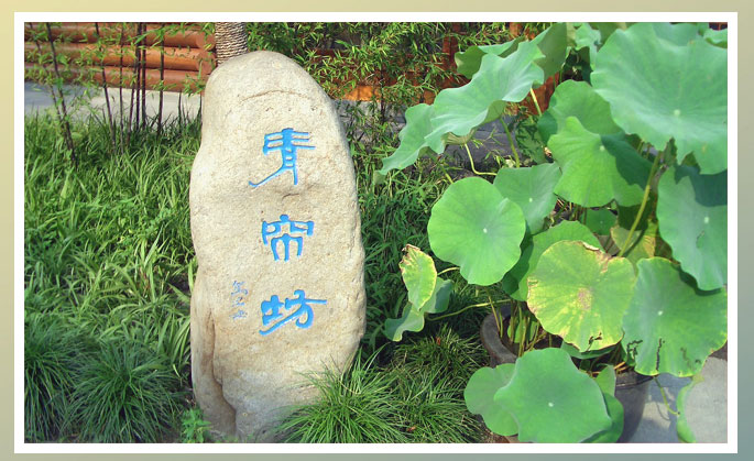 昨天荷花大开,拍了几张.大家共赏