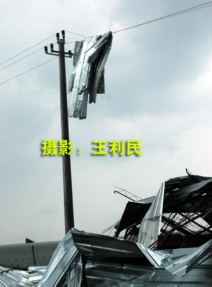 台风经过的天台--8月13日早拍