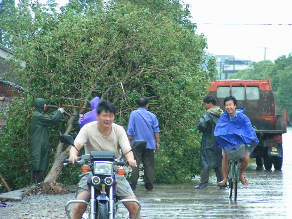 "云娜"过后.遍地遭殃.请看图片.