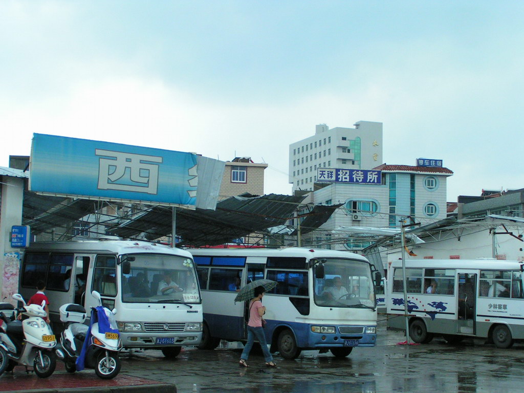 "云娜"过后.遍地遭殃.请看图片.