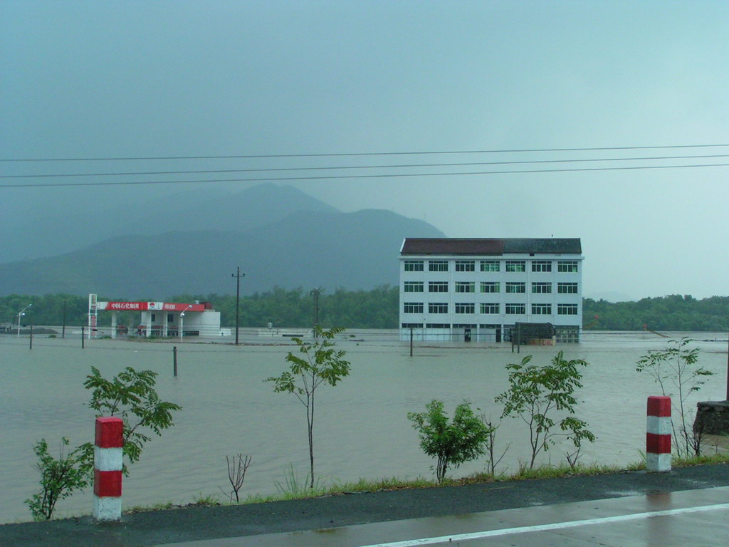 "云娜"过后.遍地遭殃.请看图片.