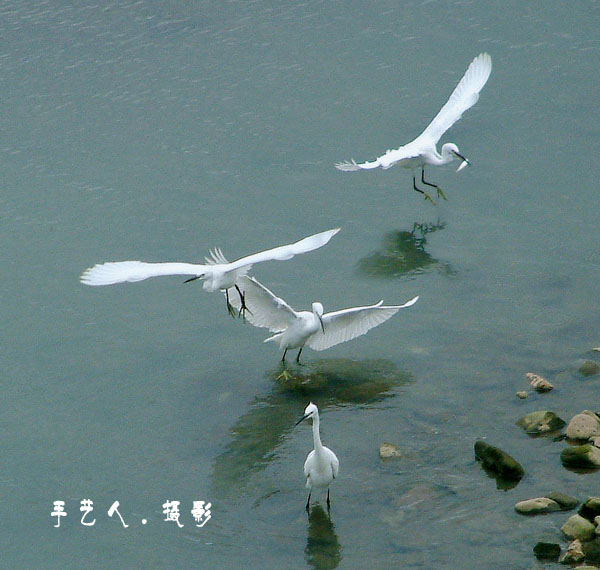 手艺人作品