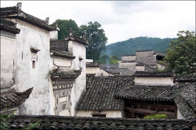 十一到底去哪里啊？