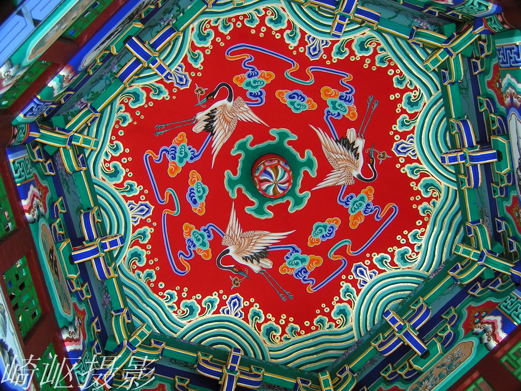 今天下午拍得几张