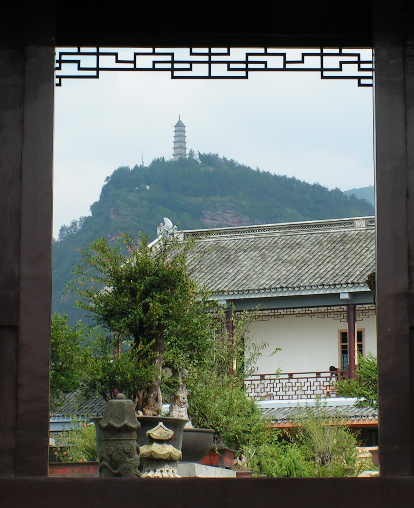 再发几张.