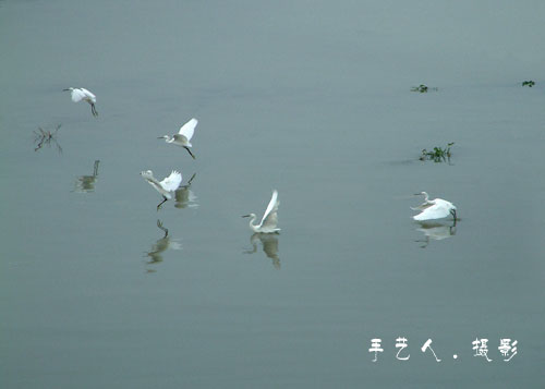 转发手艺人作品另一组:!!!!!!!!!!