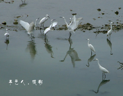 转发手艺人作品另一组:!!!!!!!!!!