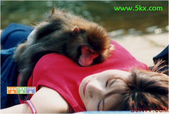 躺在美女酥胸上,爽！！