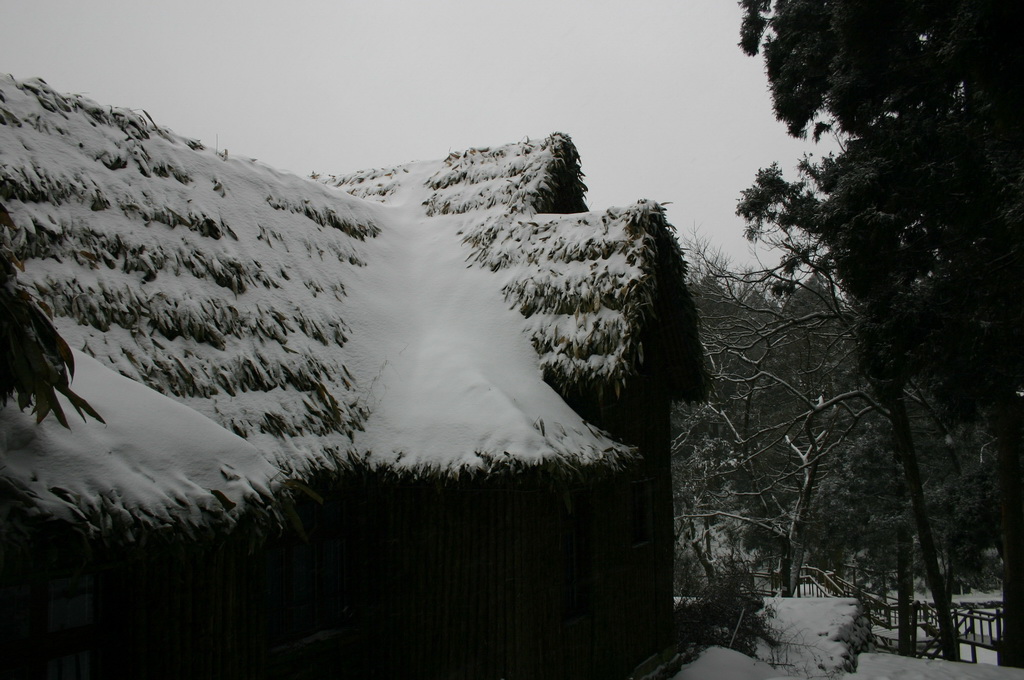 2005年的第一场雪 1.11日华顶雪世界