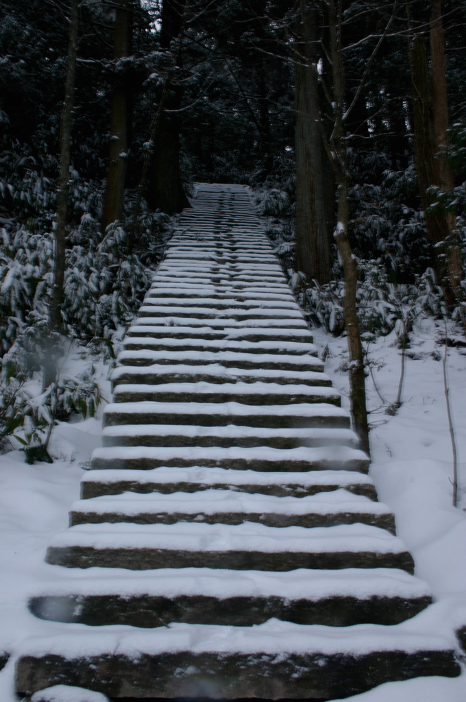 2005年的第一场雪 1.11日华顶雪世界