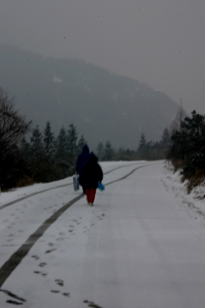 2005年的第一场雪 1.11日华顶雪世界