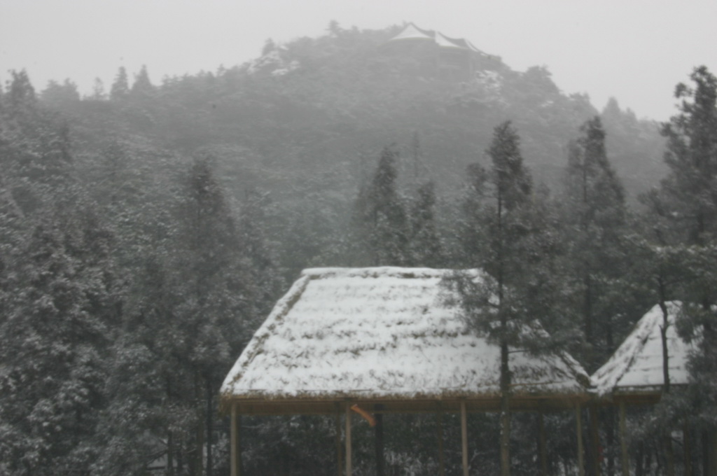2005年的第一场雪 1.11日华顶雪世界